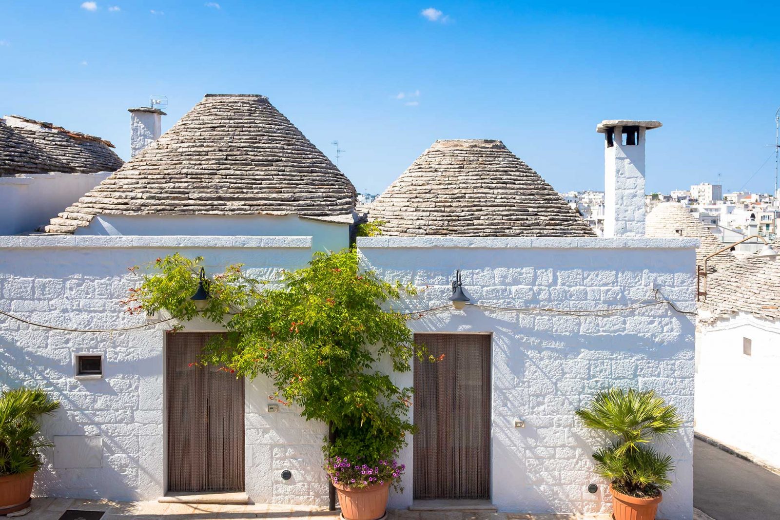 Ricerca Hotel